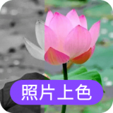 数创照片上色软件