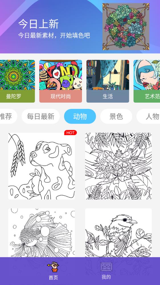 Paint数字填色安卓版3
