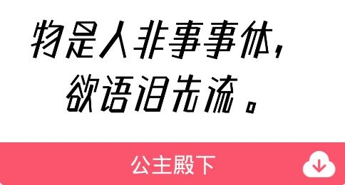 字体美美app最新版