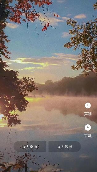 全屏动态壁纸大全app手机版