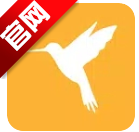 小黄鸟reqable安卓版