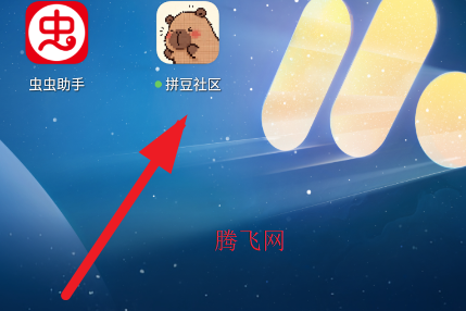 拼豆社区app手机版