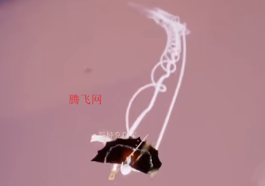 光遇华为渠道服