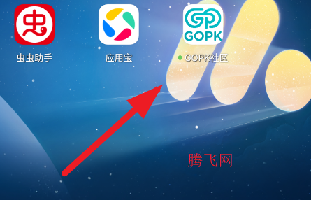 GOPK社区编程app手机版
