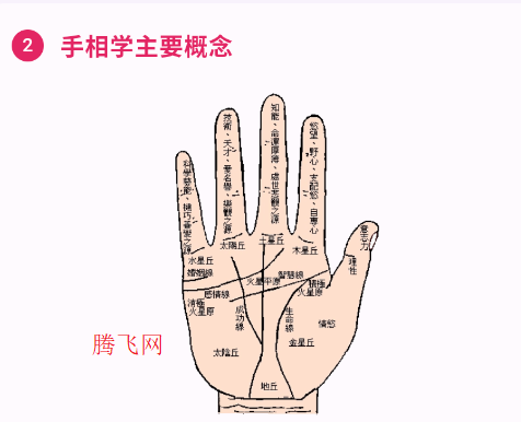手相通app官方版 手相通app官方版