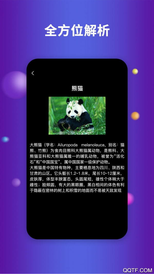 航路地球earth官方版3