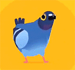 疯狂的鸽子全皮肤版Pigeon Pop