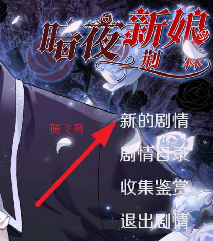 暗夜新娘游戏官方版 暗夜新娘游戏官方版