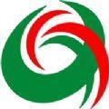 大美循化新闻客户端