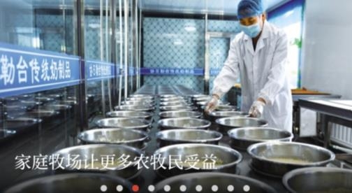 草原全媒客户端 草原全媒客户端