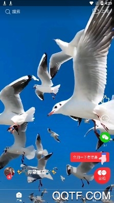 逗拍ios免费最新版