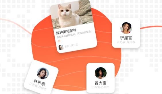 宠胖胖安卓版