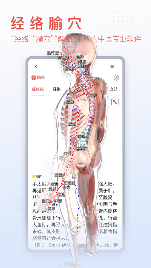 3dbody解剖图手机版1