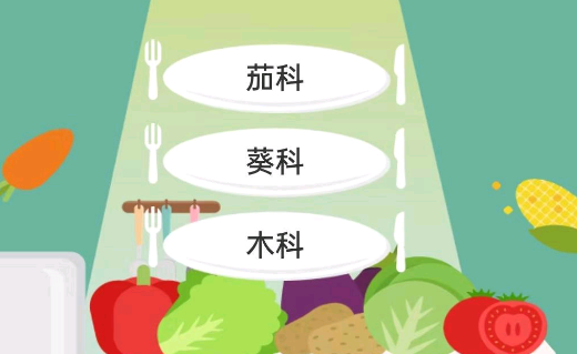 蔬菜大全游戏官方版 蔬菜大全游戏官方版