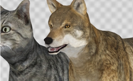 Animal Posing动物的姿势安卓版