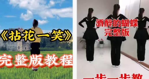 每日广场舞app安卓版 每日广场舞app安卓版