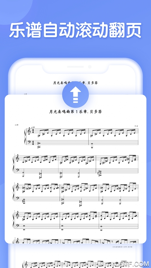 懂音律app官方版3