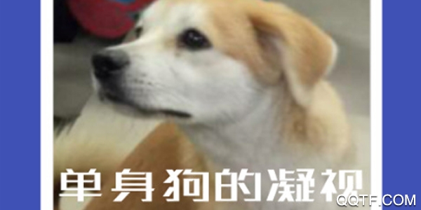 图片加文字