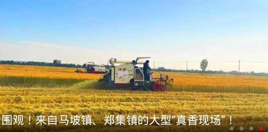 铜心圆客户端