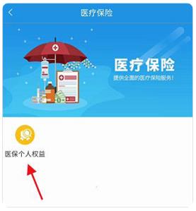 四川人社认证app