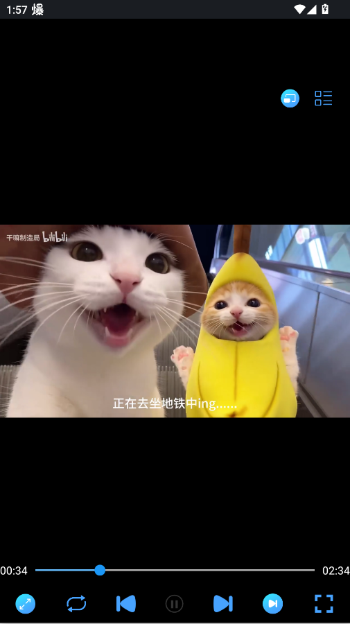99看片播放器app手机版2