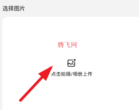拼豆社区app手机版