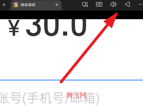 神手麻将内购版手游