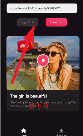 TikTok下载器最新版app