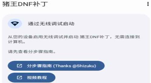 dnf猪王补丁官方正版(Zhuwang Dnf Patcher)