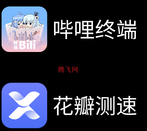 微思应用商店apk安装包手表版 微思应用商店apk安装包手表版