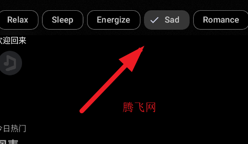 SimpMusicapp手机版