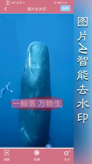 水印王app1