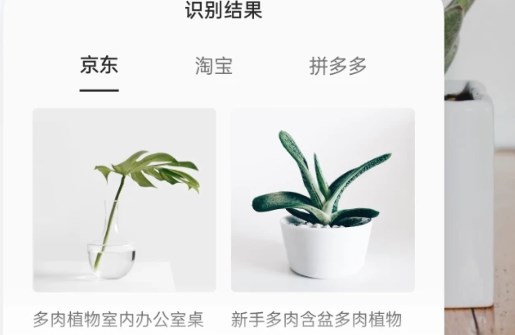 小布扫一扫app官方版