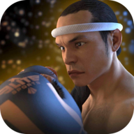 Muay Thai Fighting Clash泰拳2格斗冲突安卓版