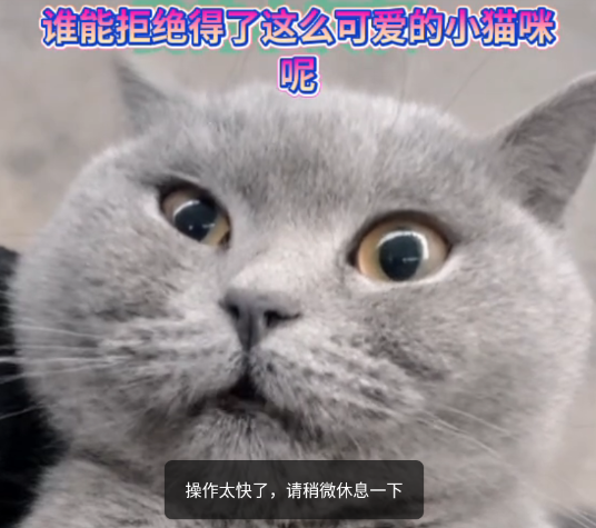 快手大屏版最新版本 快手大屏版最新版本