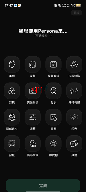 Persona相机安卓版