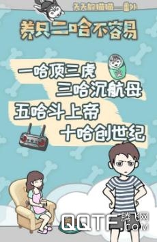 养只二哈不容易 养只二哈不容易