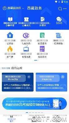 西藏政务服务平台官方版