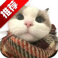 ZC无限邮箱app手机版