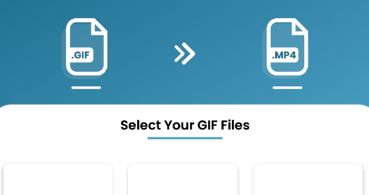 GIF转视频app工具官方版
