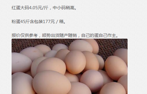 鸡病专业网论坛手机版 鸡病专业网论坛手机版