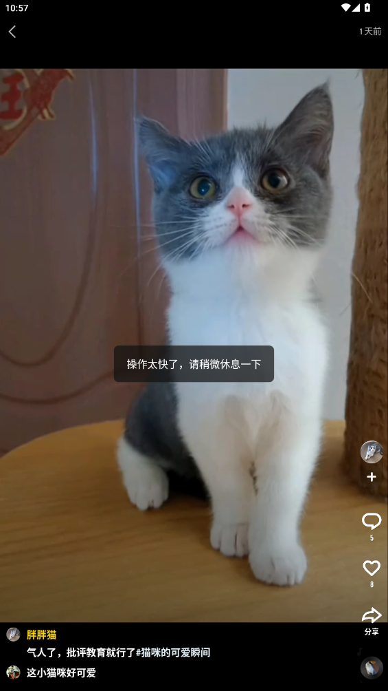 快手大屏版最新版本0