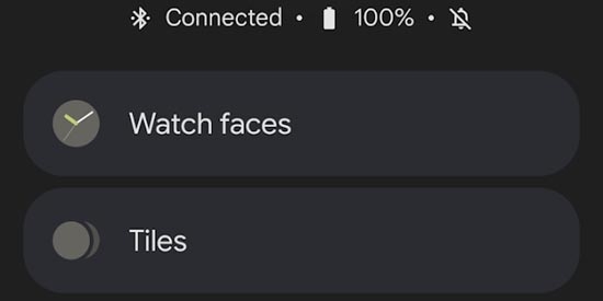 Google Pixel Watch最新版 Google Pixel Watch最新版