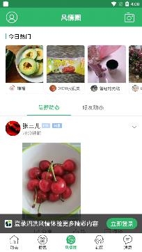 泗洪风情网人才招聘app安卓版 泗洪风情网人才招聘app安卓版