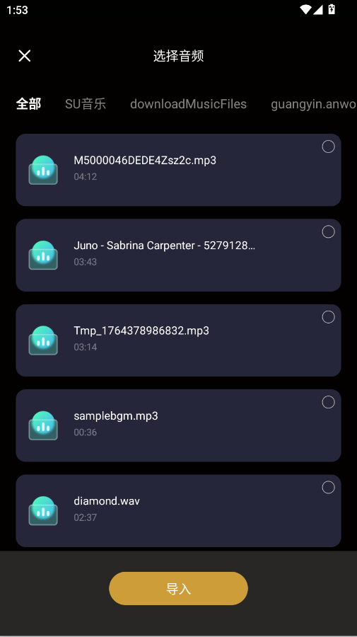 静影隐私播放器app官方版2