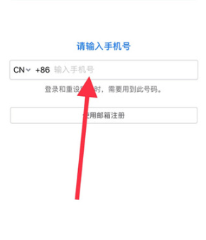一起长大教师版
