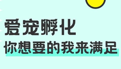 西瓜桌面宠物手机版 西瓜桌面宠物手机版