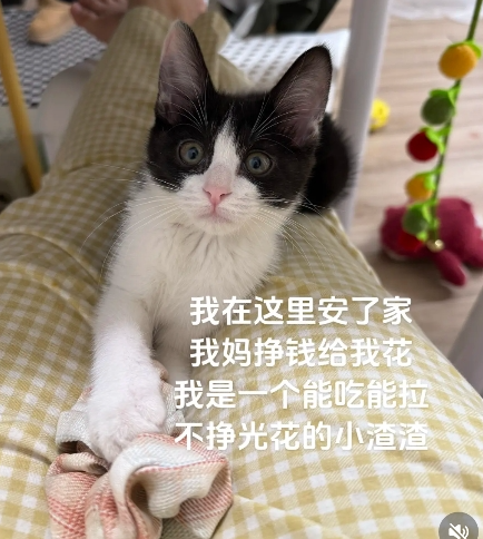 随变app官方版
