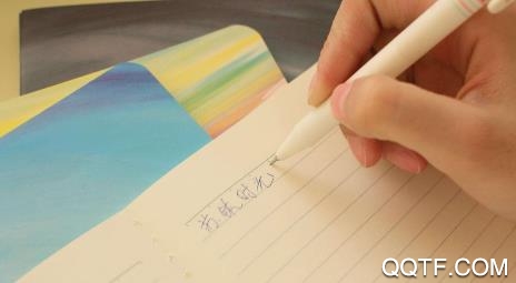 善言app手机版