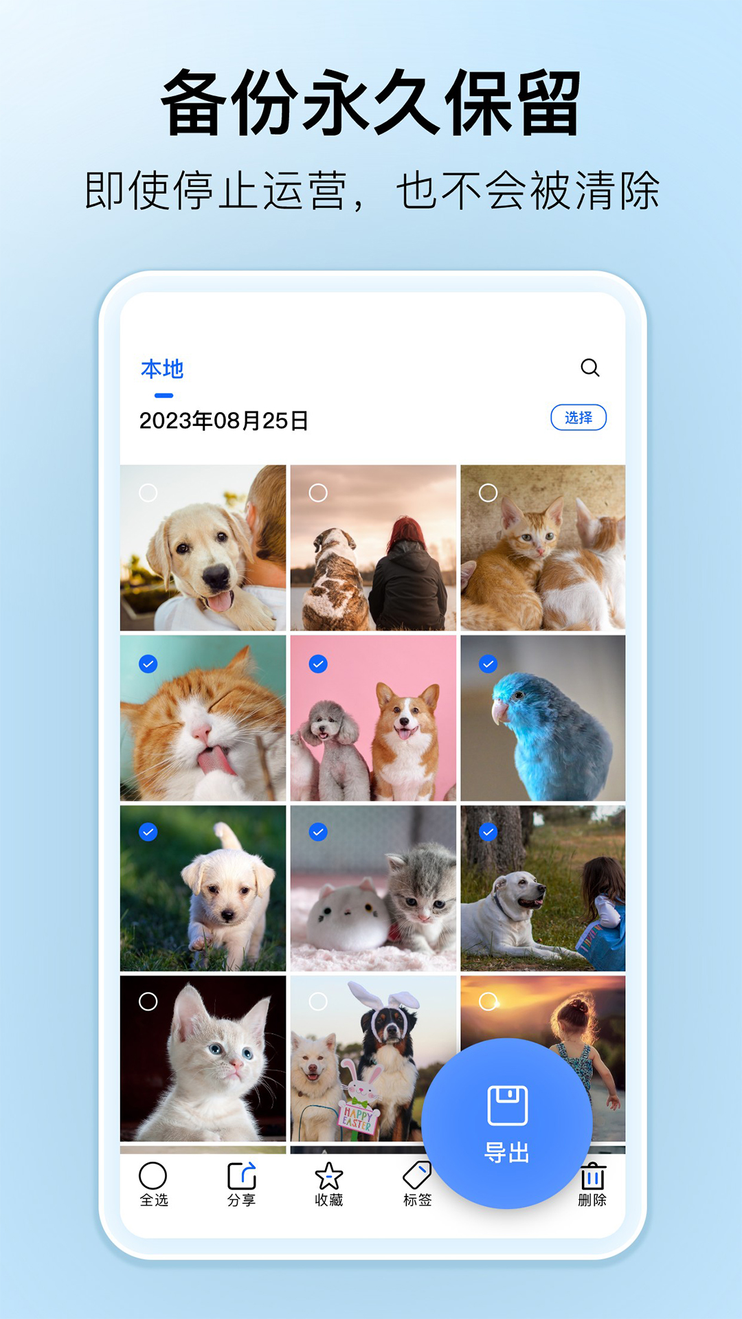 深林集影app官方版3